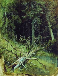 Шишкин Иван Иванович (1832-1898) , В еловом лесу , Приморская государственная картинная галерея , 1870-е год  , холст, масло , 34 x 27 см