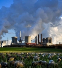 Углеродная нейтральность - новый тренд в мировой экономике