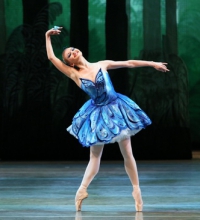 Реферат: Особенности партитуры балета А.К. Глазунова Раймонда
