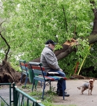 Ураган унёс жизни 13 человек в Москве и области