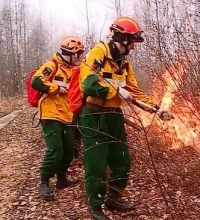 Лесные пожары в Сибири и на Дальнем Востоке на площади 22 тыс. га тушат две тысячи человек