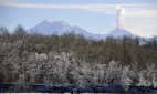 На Камчатке вулкан Шивелуч выбросил пепел на высоту более 7 км