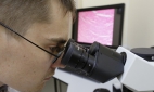 Петербургские физики запатентовали способ лечения рака кожи террагерцевым излучением
