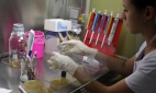 Испытания уникального препарата от рака могут начаться в Новосибирске к 2016 году